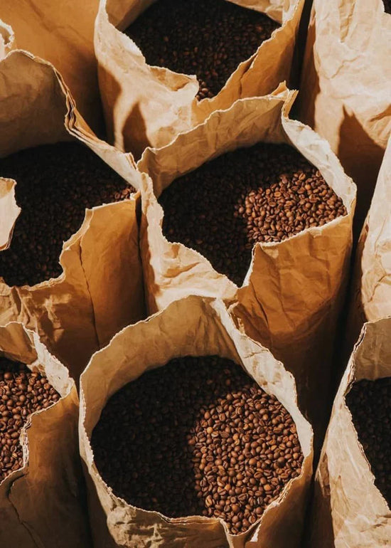 Why Fresh Coffee Tastes Better (And Your Old Beans Are Straight Trash)